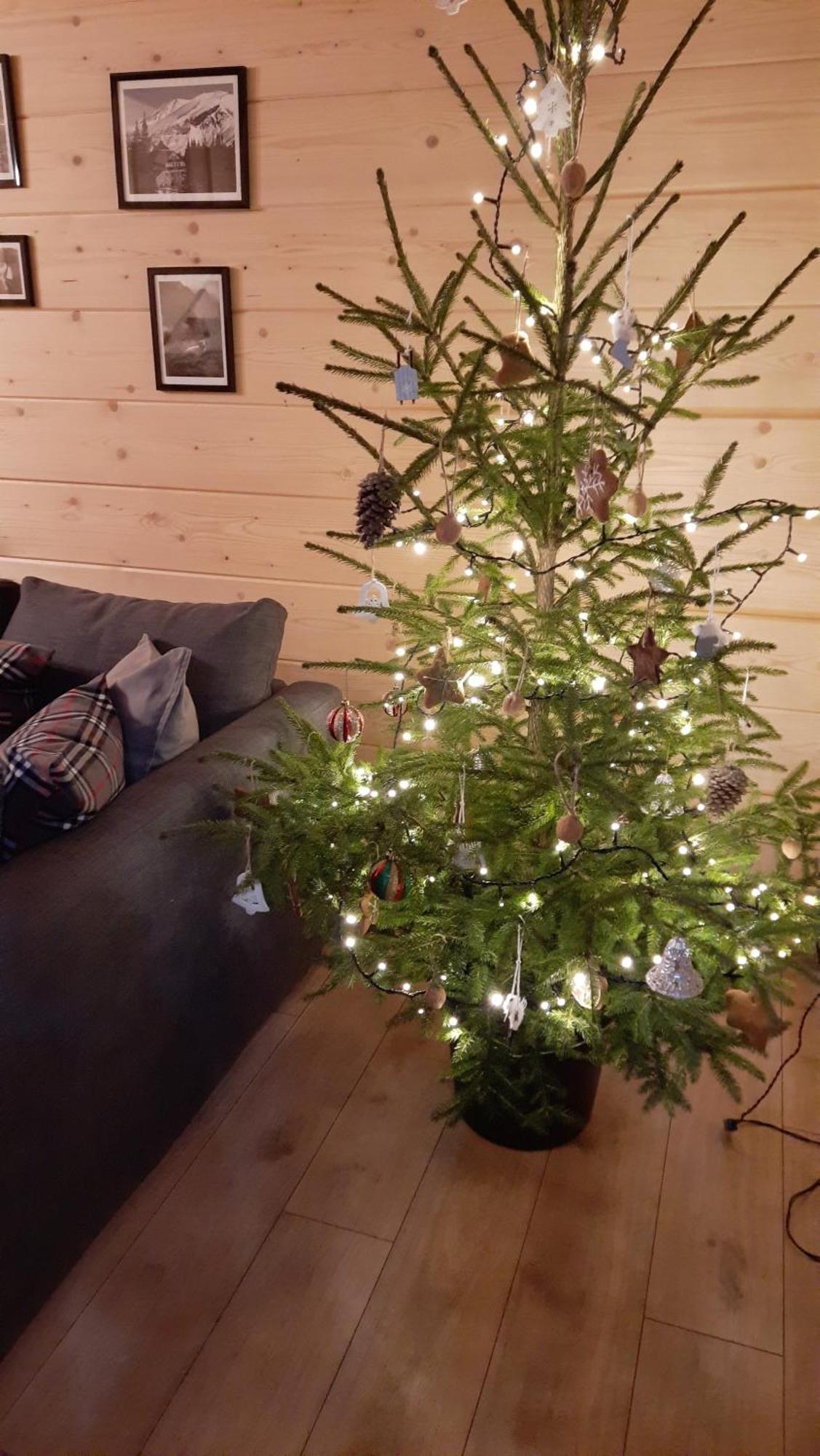 Goralska Przy Dolinie Chocholowskiej Leilighet Witów