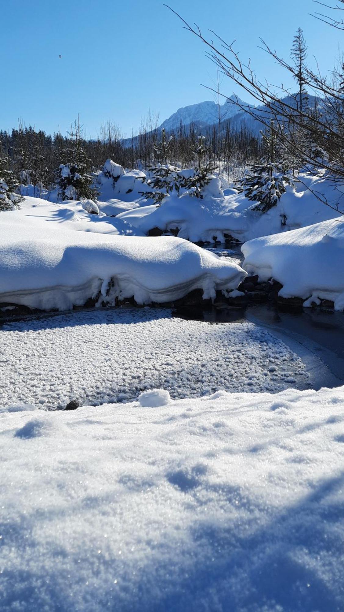 Goralska Przy Dolinie Chocholowskiej Leilighet Witów
