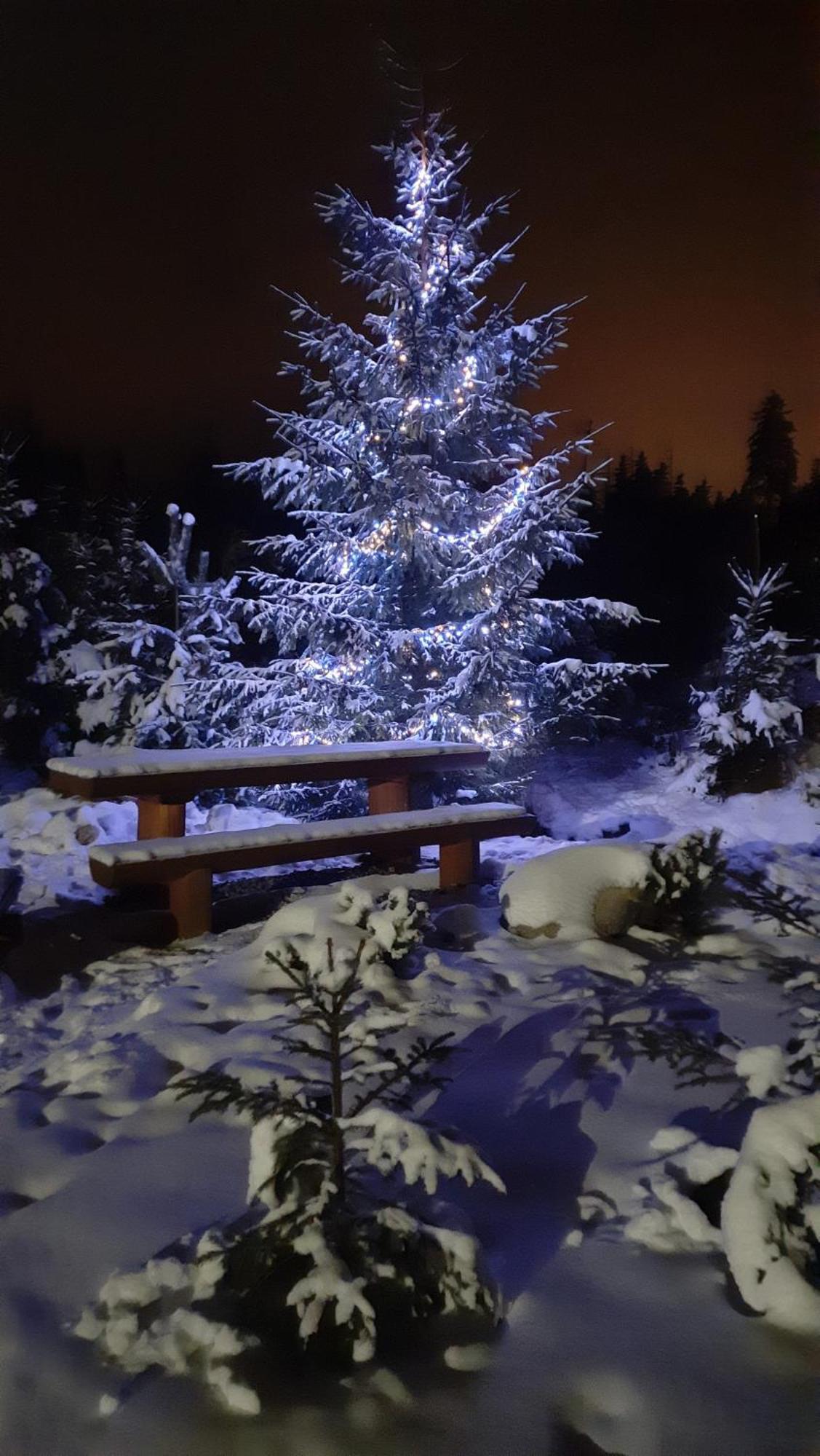Goralska Przy Dolinie Chocholowskiej * Witów